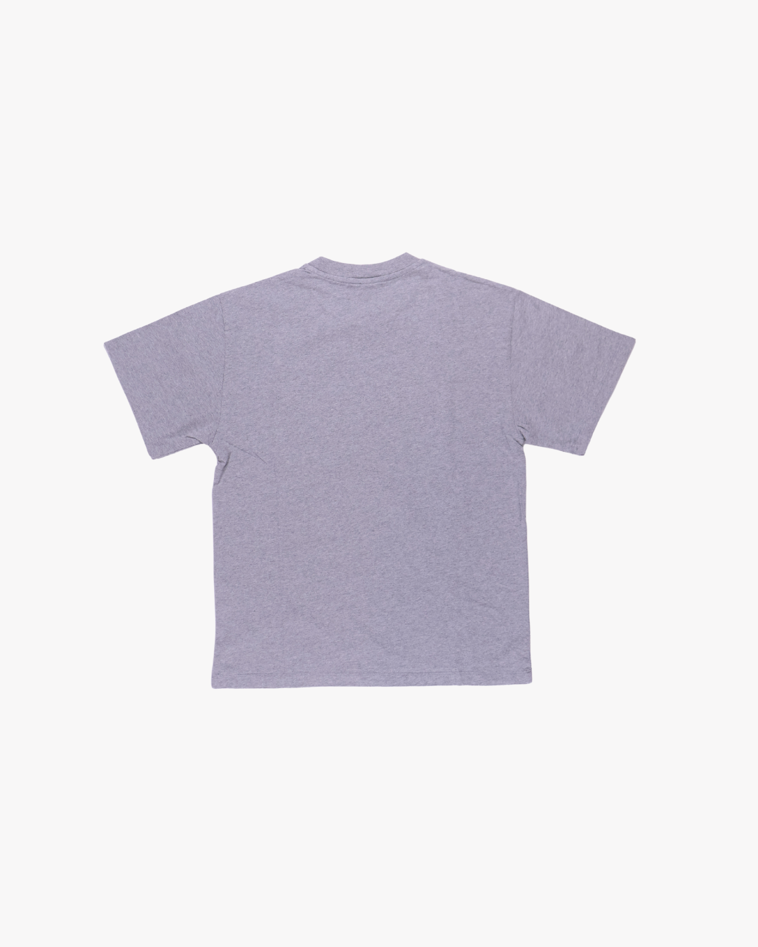 No Problemo / Mini Problemo SS Tee / Grey