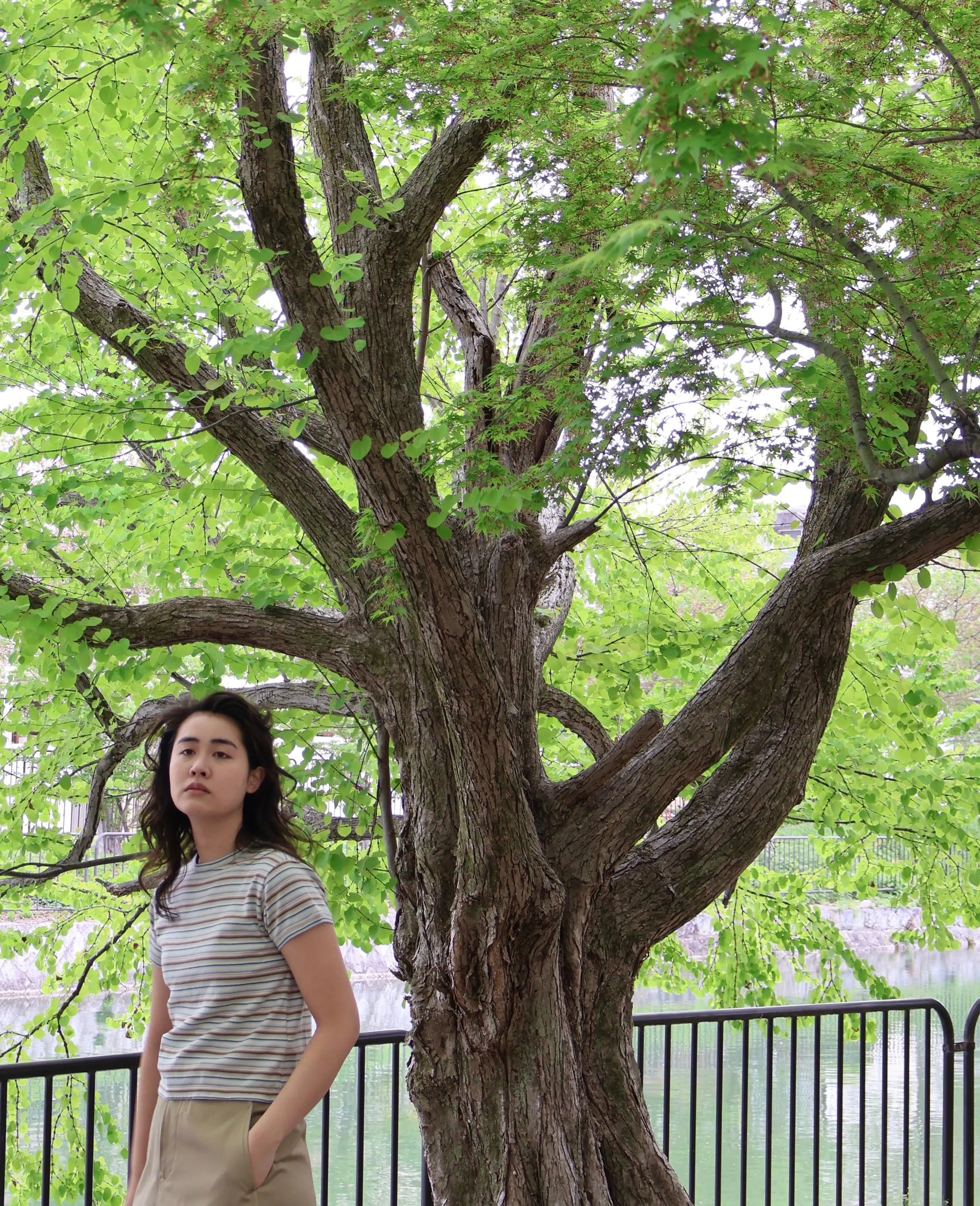 FUMIKA_UCHIDA / MULTICOLOR STRIPE T-SHIRT / WHITE/BEIGE/BROWN FUMIKA_UCHIDA 601 | オンラインストア