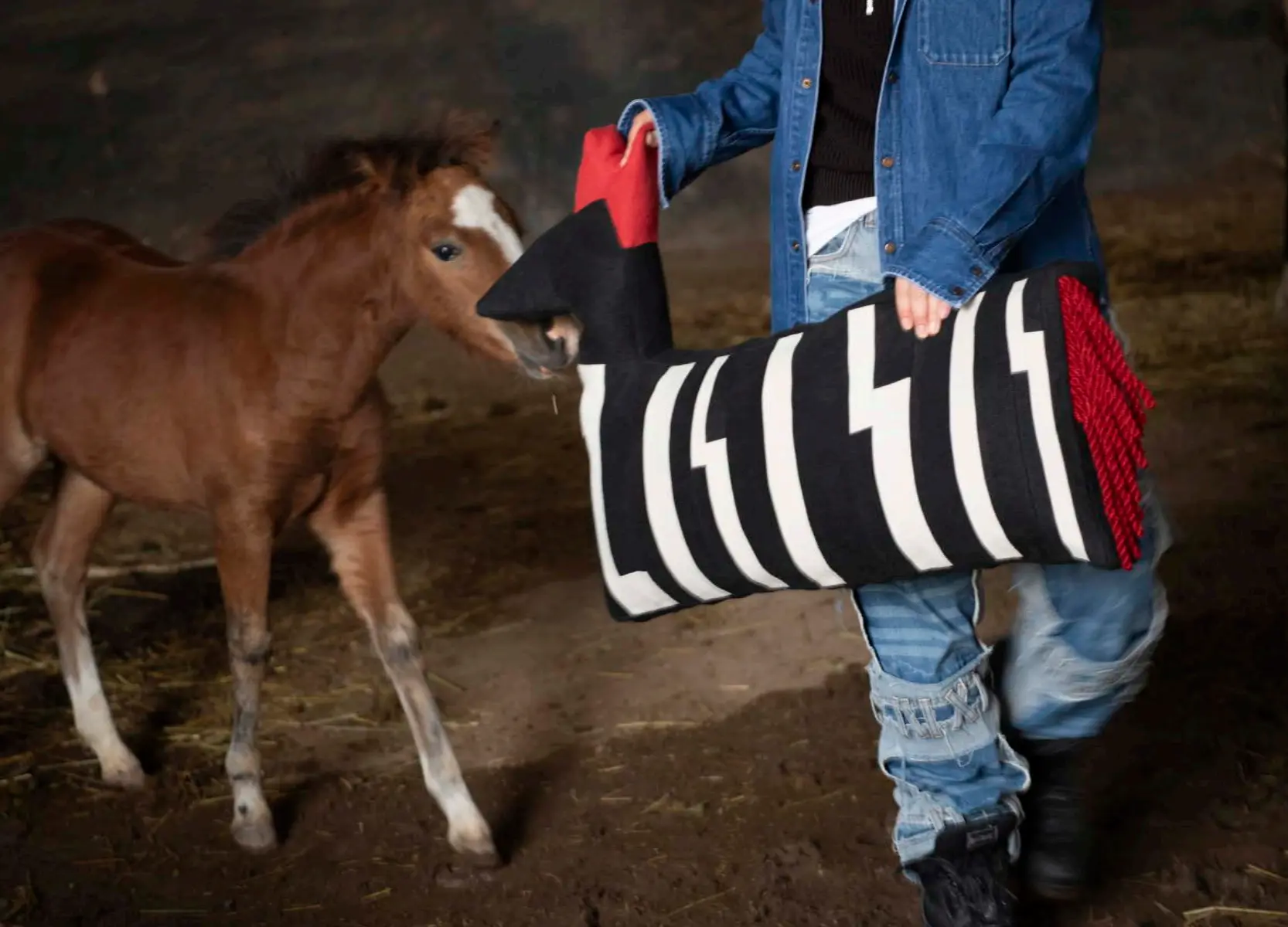 WIENER TIMES / ZEBRADACKER CLASSIC wienertimes - 601 | 京都ウィメンズセレクトショップ